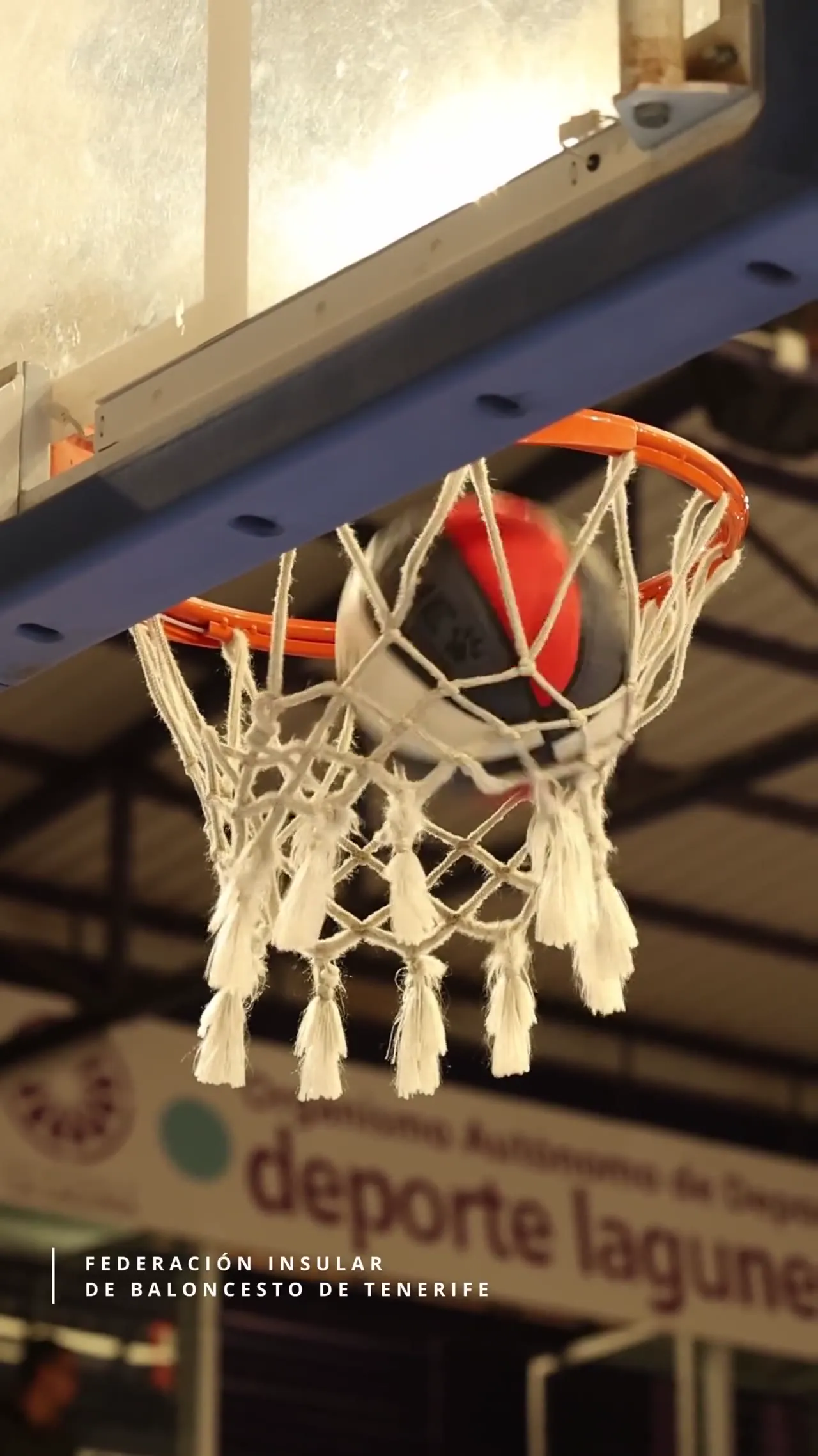 Fotografía de baloncesto en competición