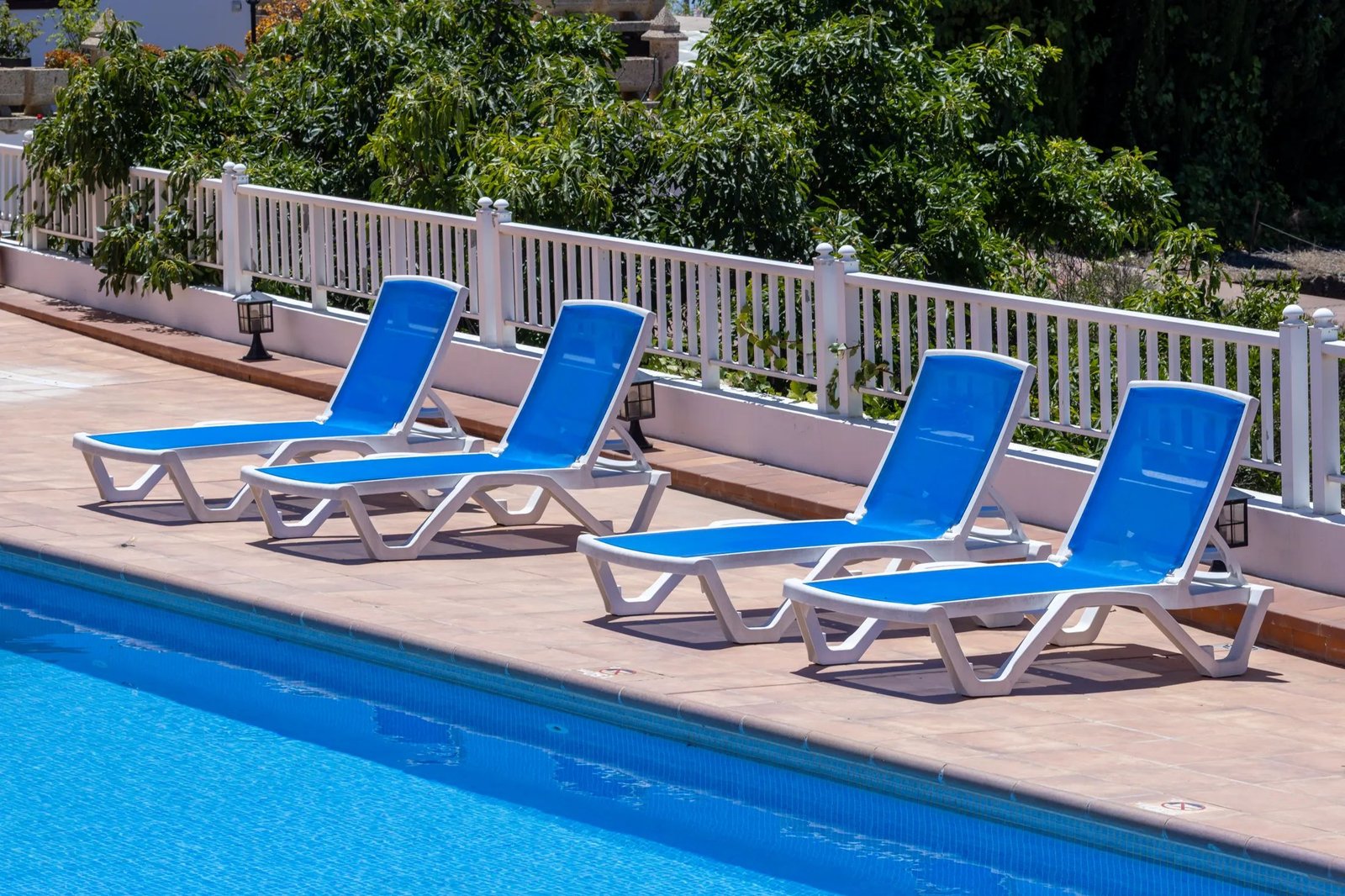 Piscina con hamacas de Finca Viñas en Vilaflor de Chasna